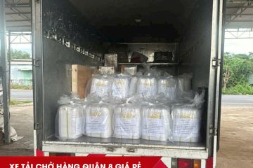 Cho Thuê Xe Tải Chở Hàng Quận 8 TPHCM Giá Rẻ, Nhanh Chóng, 24/7